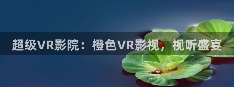 窝窝免费电影网站