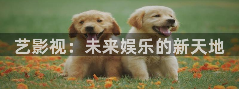 窝窝影院电视剧在线观看：艺影视：未来娱乐的新天地